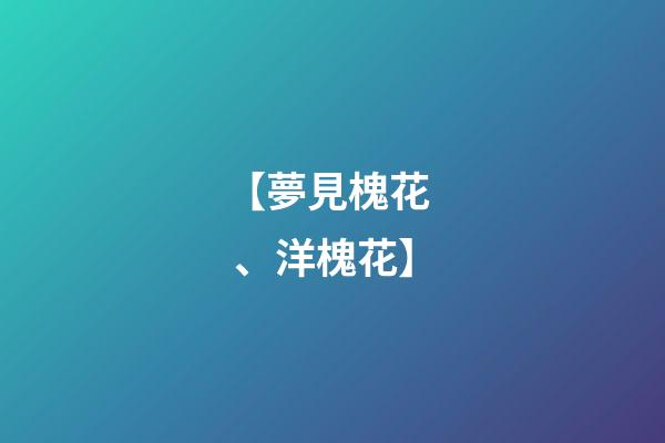 【夢見槐花、洋槐花】
